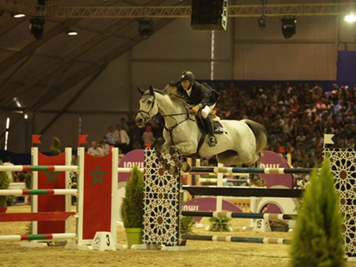 show cheval EL Jadida Maroc